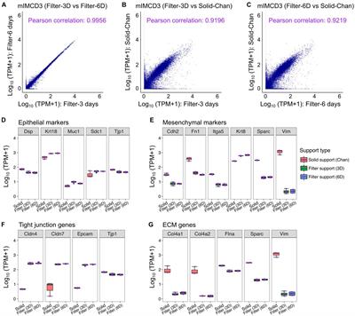 Doxycycline Changes the Transcriptome Profile of mIMCD3 Renal Epithelial Cells